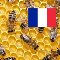 Made in France!